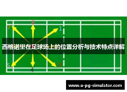 西格诺里在足球场上的位置分析与技术特点详解