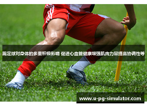踢足球对身体的多重积极影响 促进心血管健康增强肌肉力量提高协调性等 踢足球对身体的多重积极影响 促进心血管健康增强肌肉力量提高协调性等