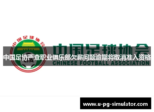 中国足协严查职业俱乐部欠薪问题逾期将取消准入资格 中国足协严查职业俱乐部欠薪问题逾期将取消准入资格