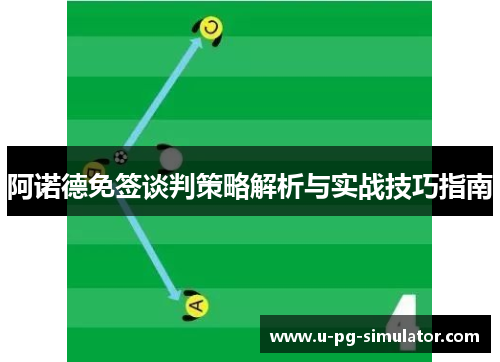 阿诺德免签谈判策略解析与实战技巧指南