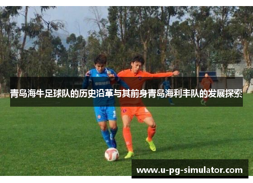 青岛海牛足球队的历史沿革与其前身青岛海利丰队的发展探索