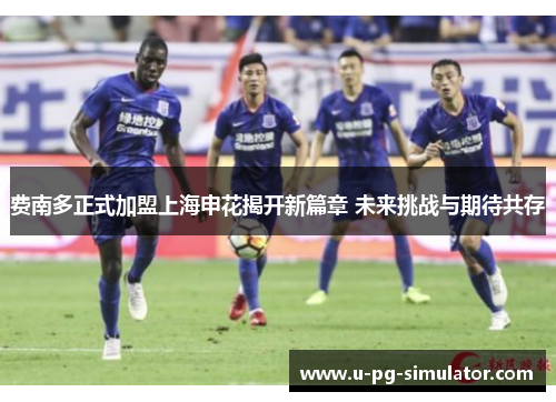 费南多正式加盟上海申花揭开新篇章 未来挑战与期待共存